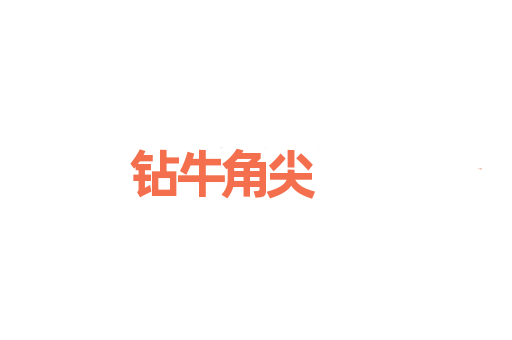 钻牛角尖