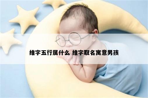 维字五行属什么 维字取名寓意男孩